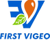 first_vigeo_logo2-removebg-preview (1).png