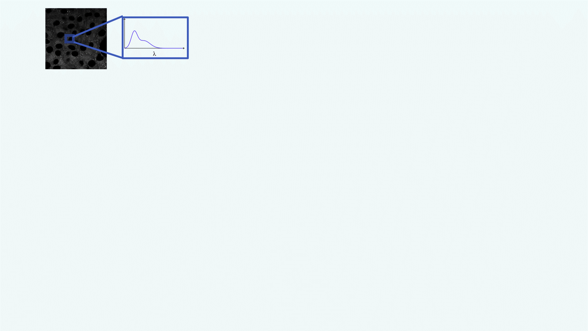 sito 1.gif