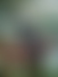 Wisata Berkuda Gerdu Liburan Seru Anti Mainstream