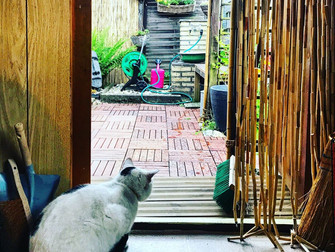 Das neue Jahr beginnt mit Gartensehnsucht & einem tollen Gartenbuch