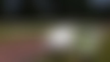 Bagage waar je wat aan hebt