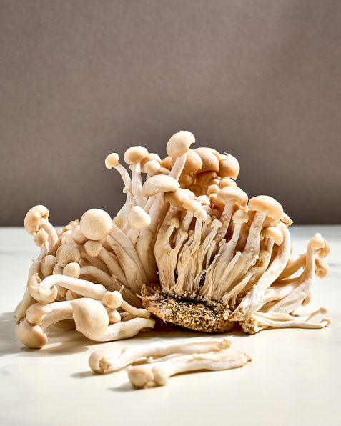 Still life of enoki mushrooms under soft studio light on neutral background captured by Washington DC food photographer Peggy Cormary for the Washington Post.