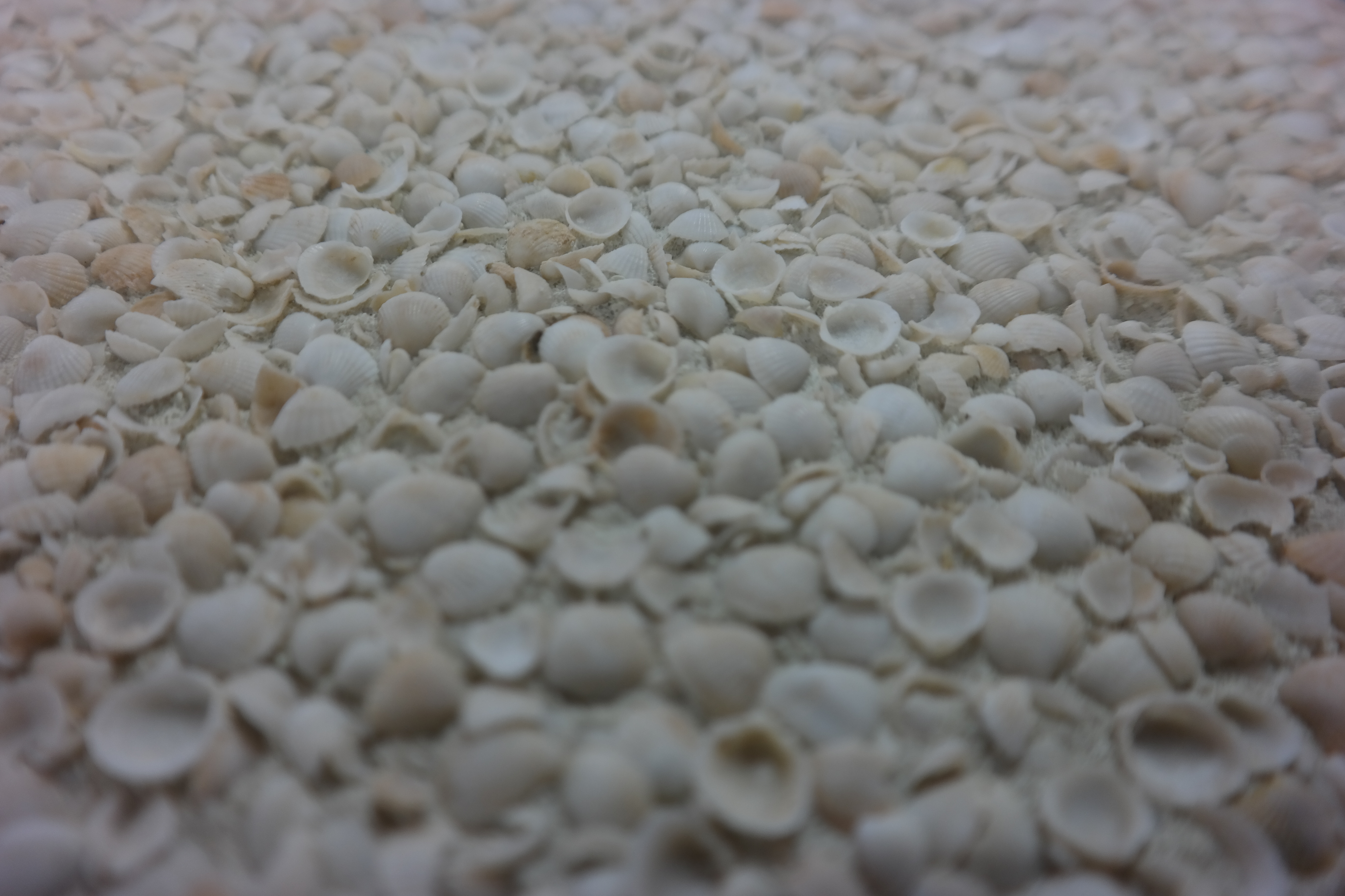 Exposed Aggregate Series