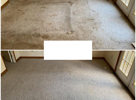 Carpet Cleaning