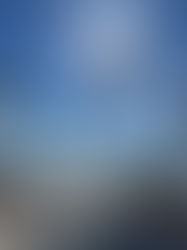 Singing Psalm 126 to be living the dream in the wake of a nightmare