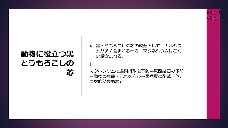 image (19).png