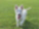 490998999_2122805141496001_6171717551986136278_n.jpg