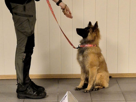 «Jeg skulle ønske jeg turte å melde meg på kurs …»
