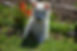 490648806_2972387152932312_2645910982590416189_n.jpg