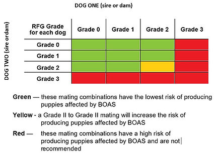 RFGS-Chart.jpg