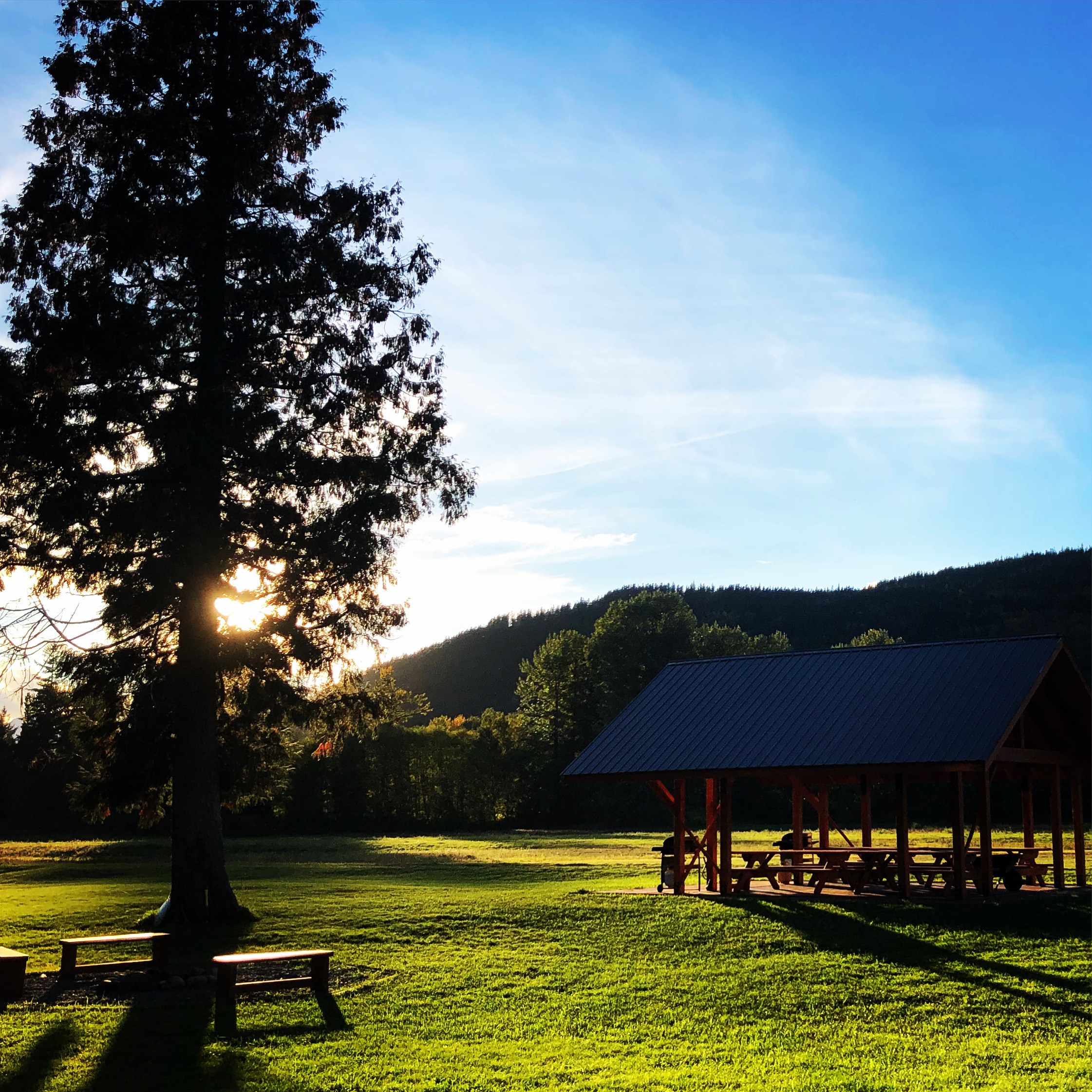 Unbelievable! How Many Miles Are Hidden In 20 Acres? - ga16rqf