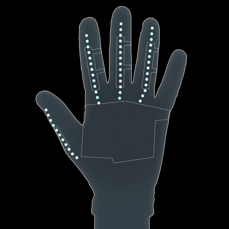 TendonsIllustration2_3.gif