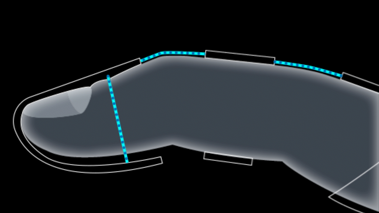PincherFinger_animation12FPS_728.gif