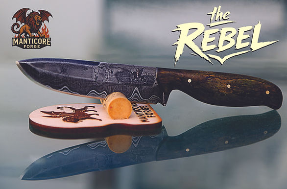 rebel 2.jpg