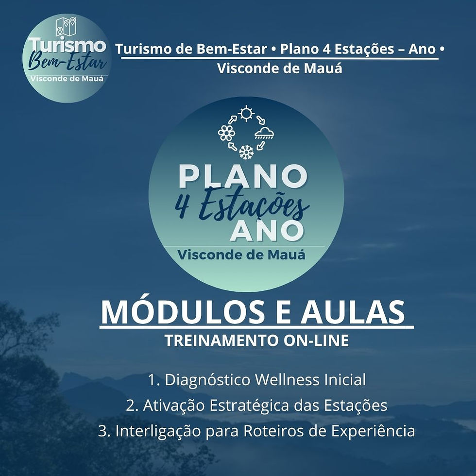 Cronograma e Estrutura da metodologia