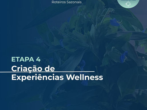Etapa 4- Criação de Experiências Wellness