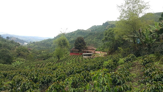 IMG-20180404-WA0015.jpg