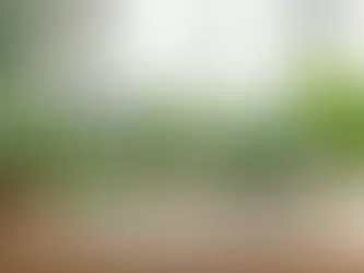 Cinco plantas de casa resistentes à falta de água em vasos decorativos sobre mesa de madeira clara, com folhas verdes brilhantes e ambiente interno iluminado naturalmente