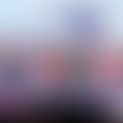 The Year of the Spine and the Softened Grip: A Reflection on 2025