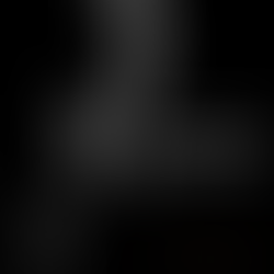 Dark horse with text that reads" Average is a leadership decision"