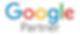 Google Ads Logo