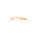 fasvivcon.png