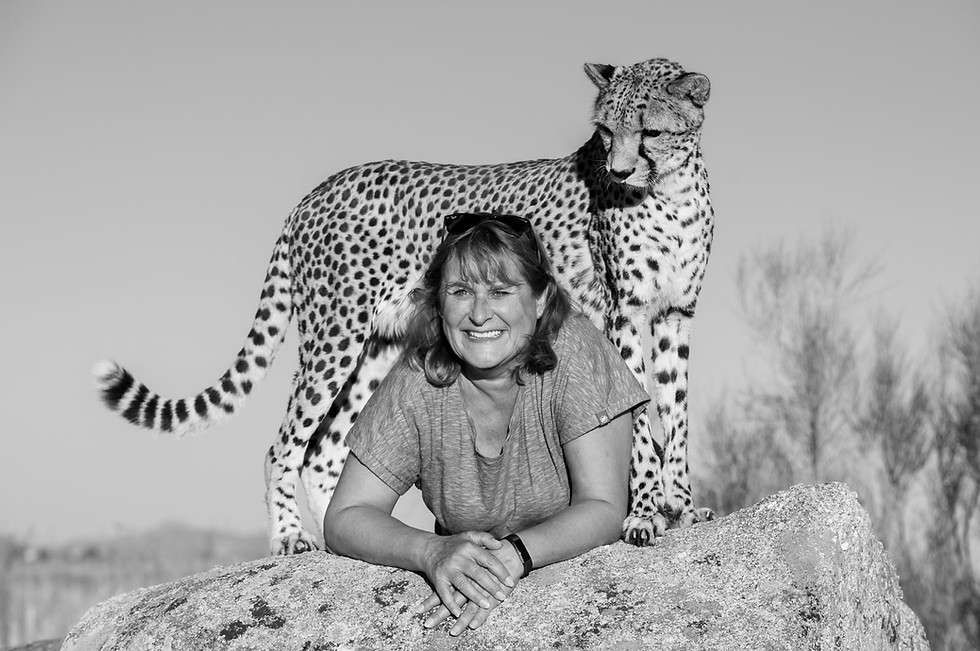 Lächelnde Frau lehnt an Fels neben einem Gepard.