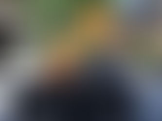 Lenten Daily Reflection: Ash Wednesday