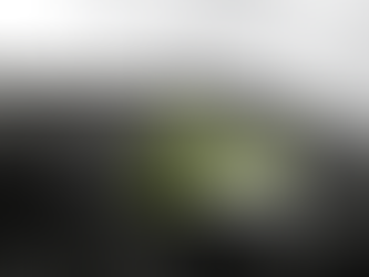 Letter from the Rector: LENTEN OFFERINGS