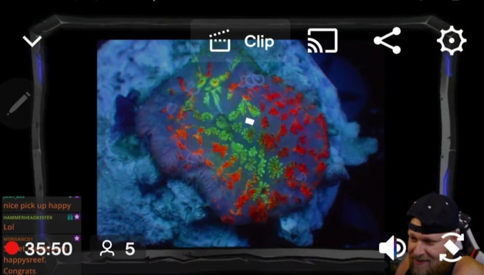 Thumbnail: PRIVATE SALE HAPPYSREEF 10-26-25