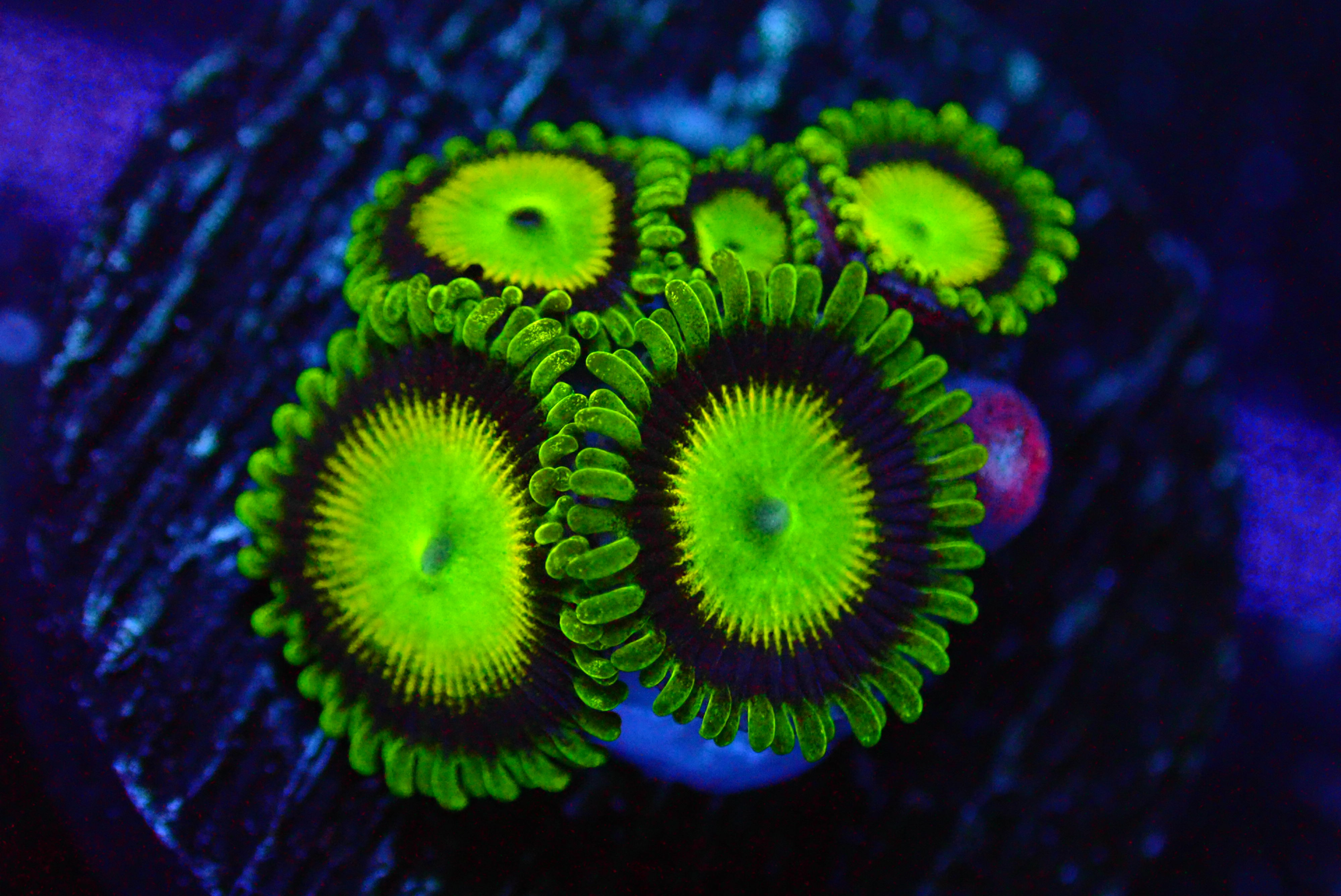 PRIVATE SALE GARRICK GAVE JONATHAN N 10-2