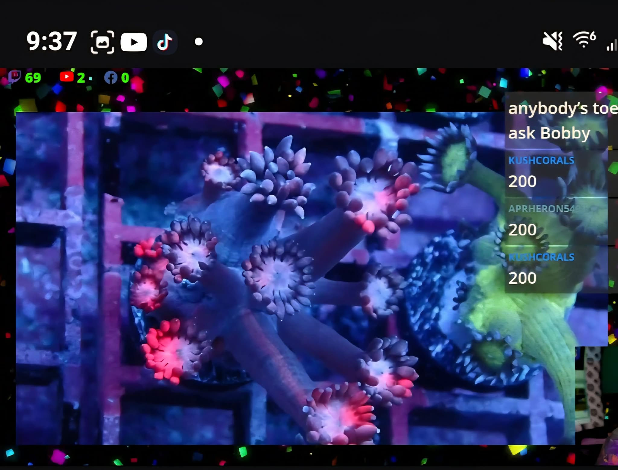 PRIVATE SALE AARON RIL 12-7-25