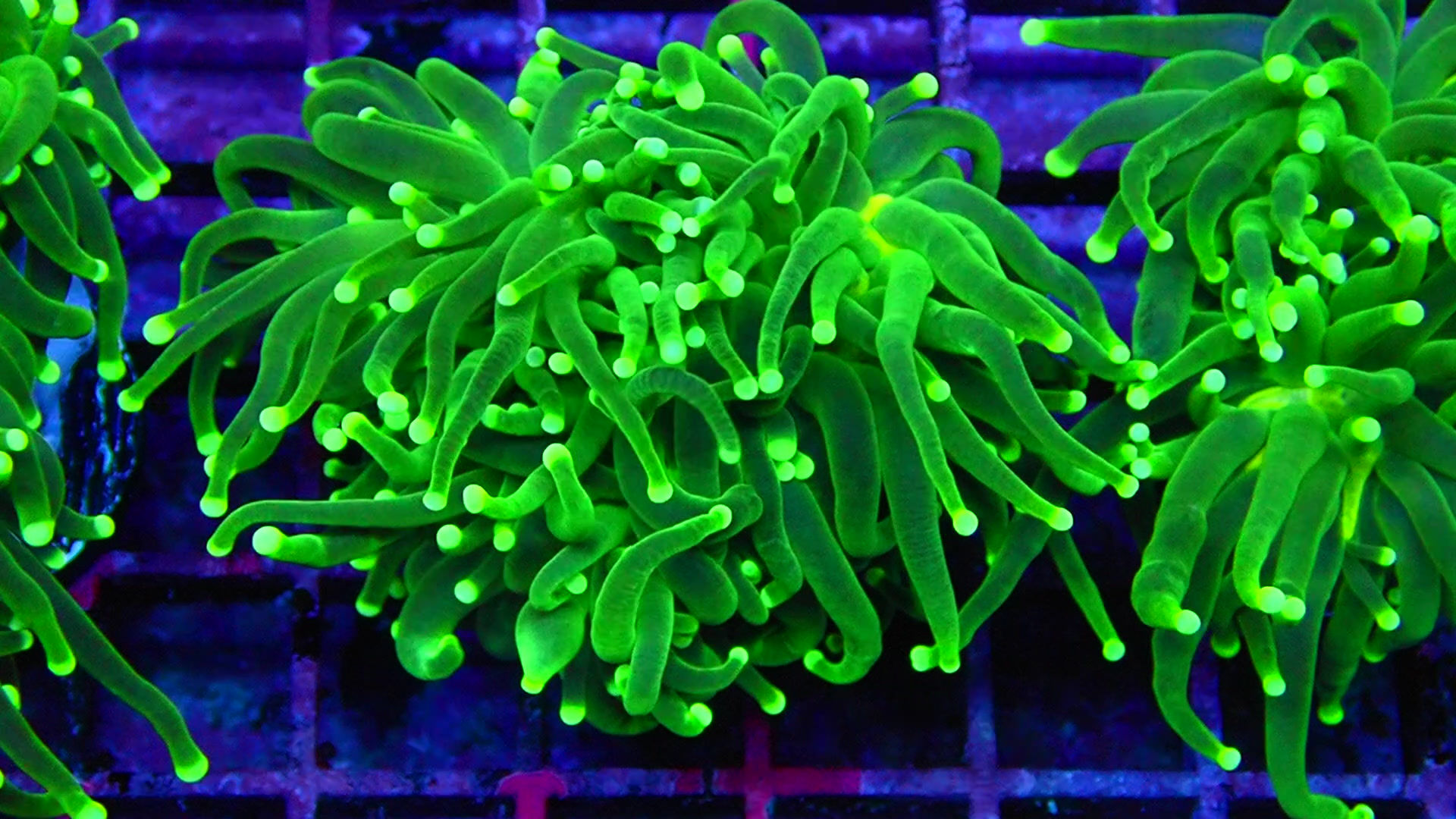 PRIVATE SALE JACOB S 12-4-25