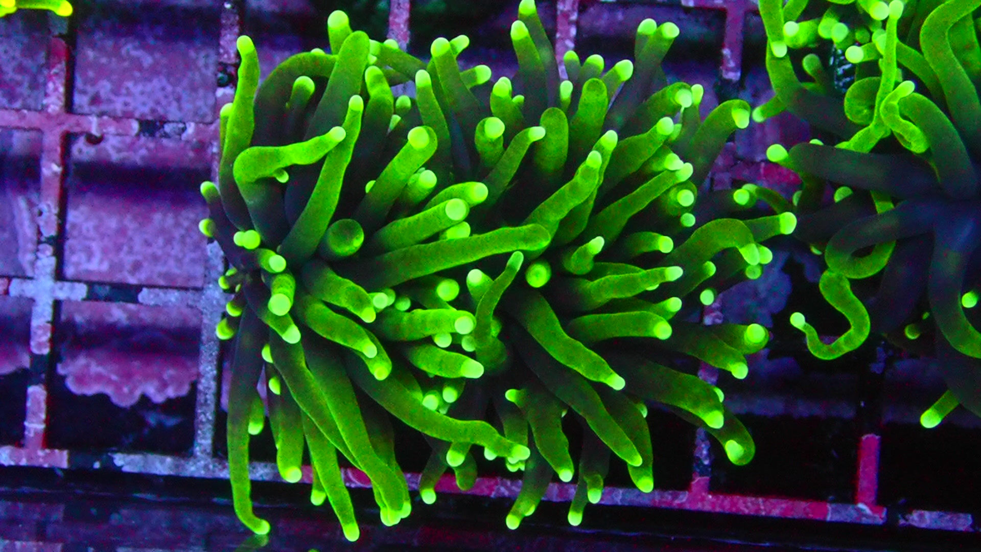 PRIVATE SALE RUSSELL 9-27-25