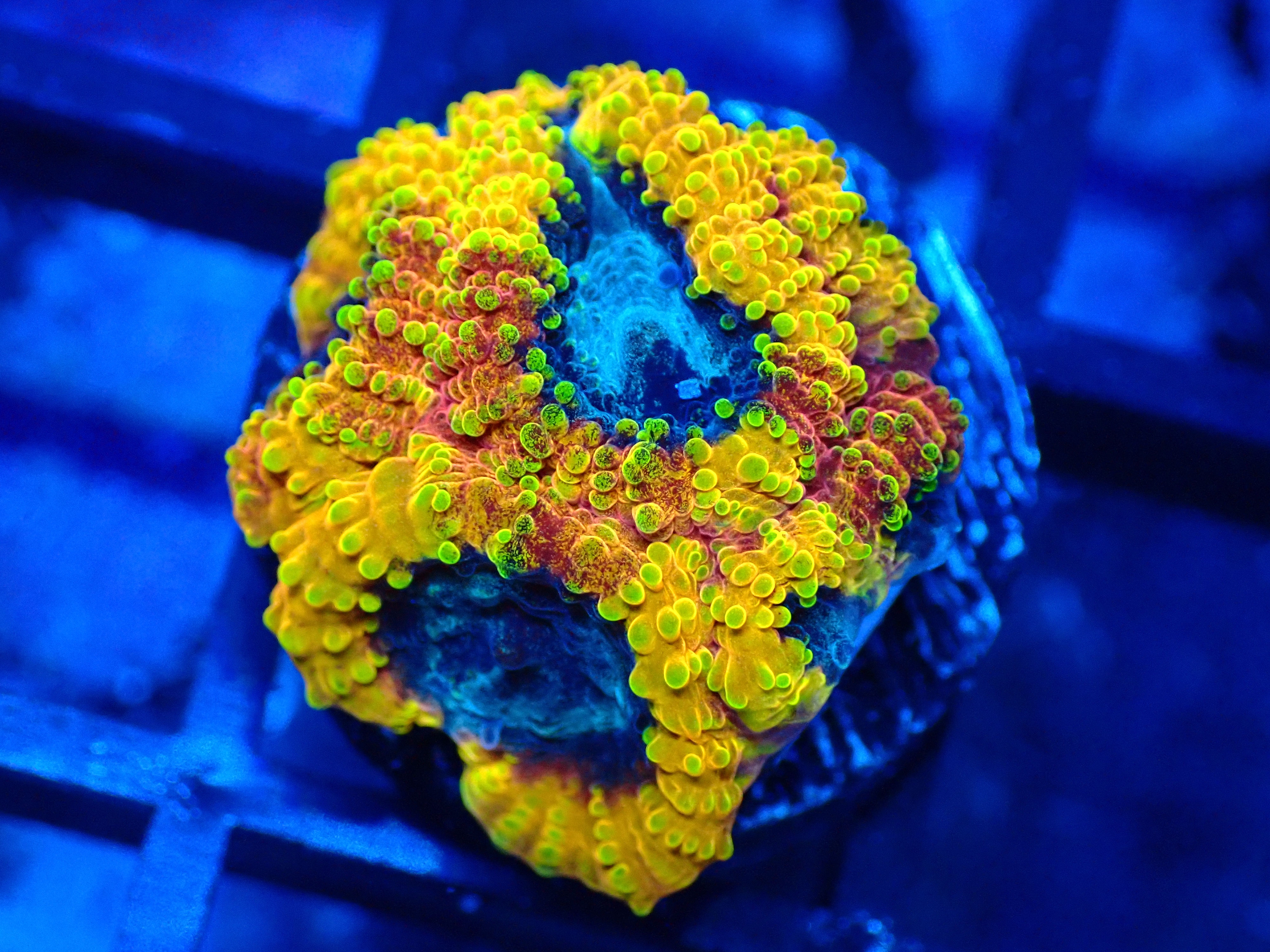 PRIVATE SALE JOHN SOUL 8-9-25