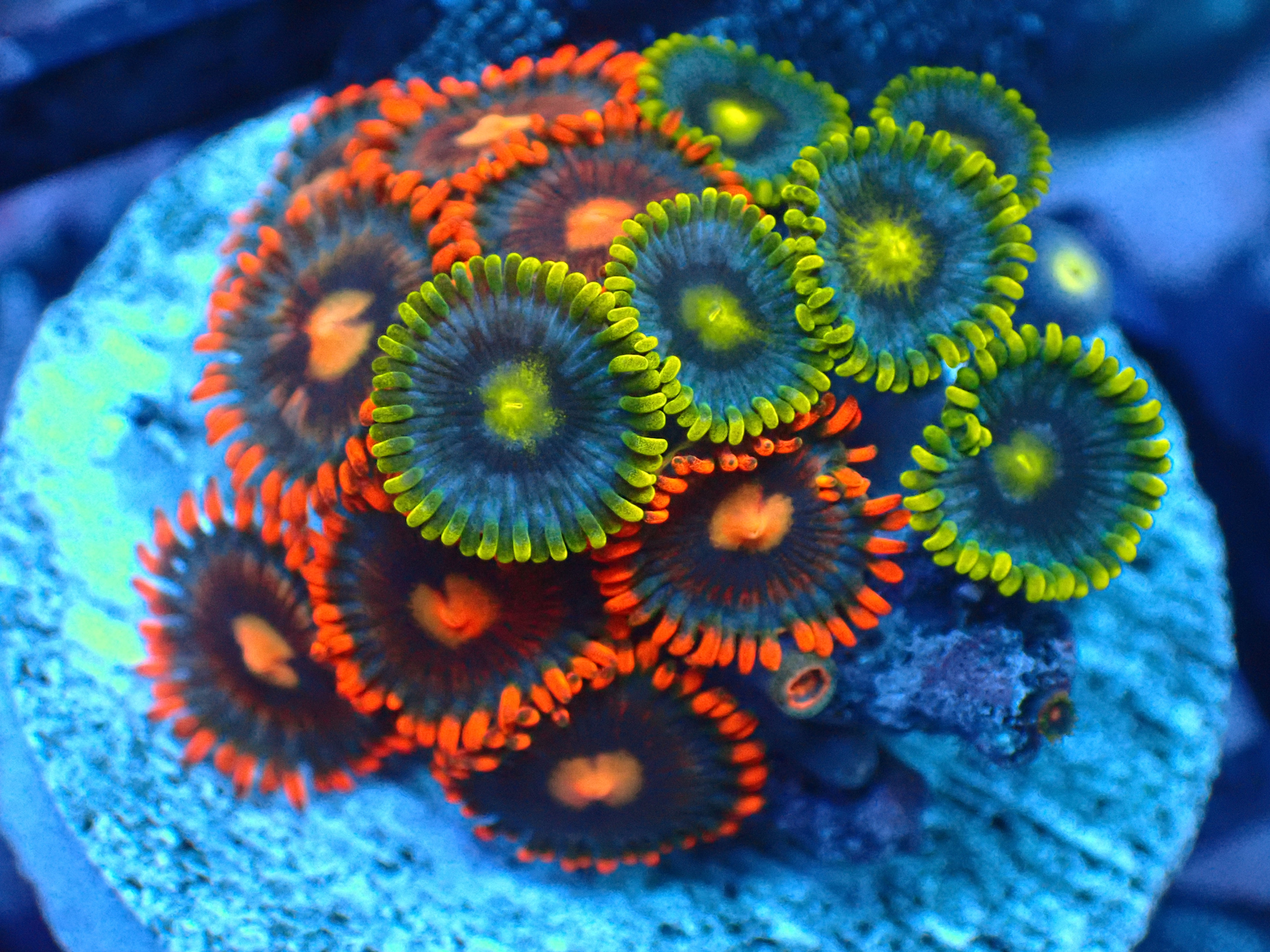 PRIVATE SALE RICK R 8-14-25