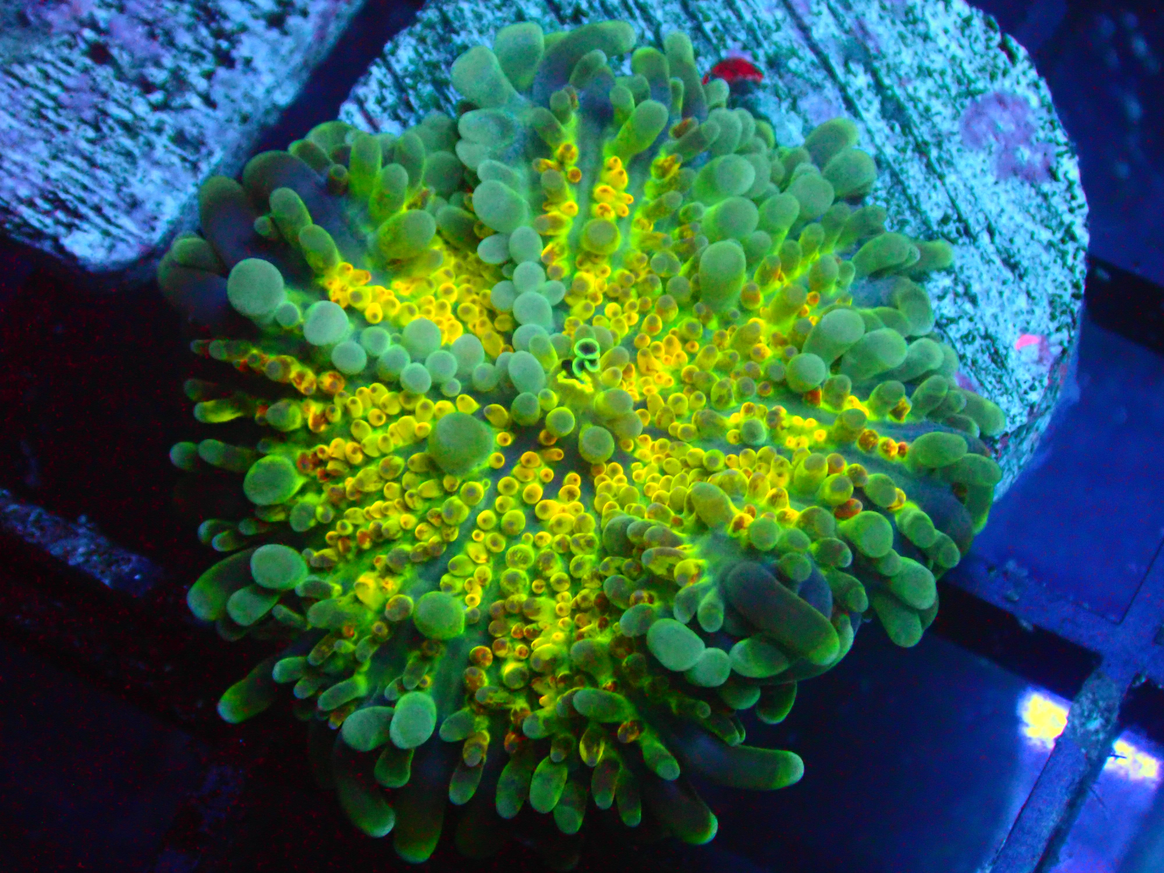 PRIVATE SALE STEPHEN R