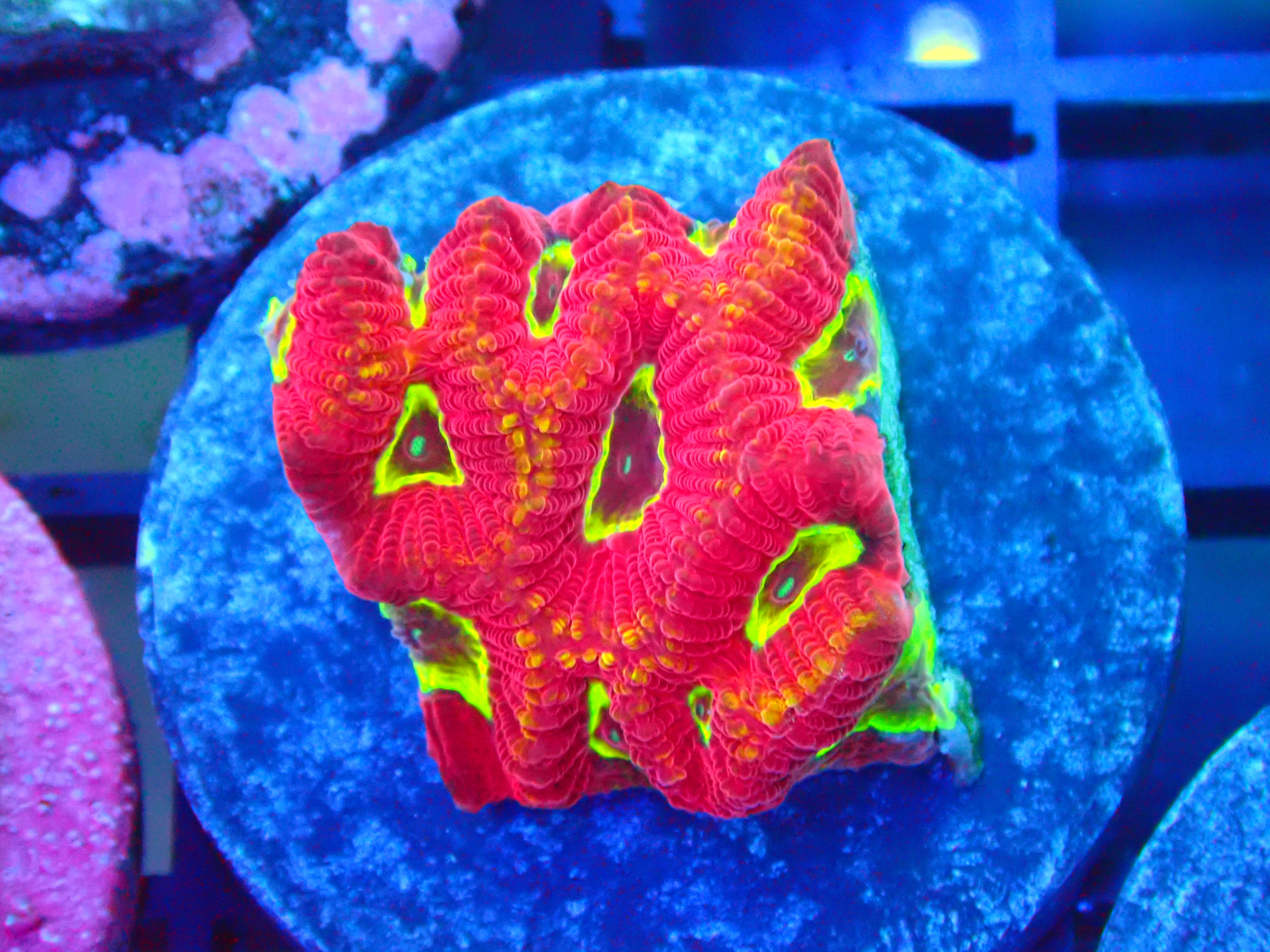 PRIVATE SALE BRIAN P