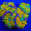 Thumbnail: SWEET TART BOUNCE ROCK - 4 POLYPS WAFFLE