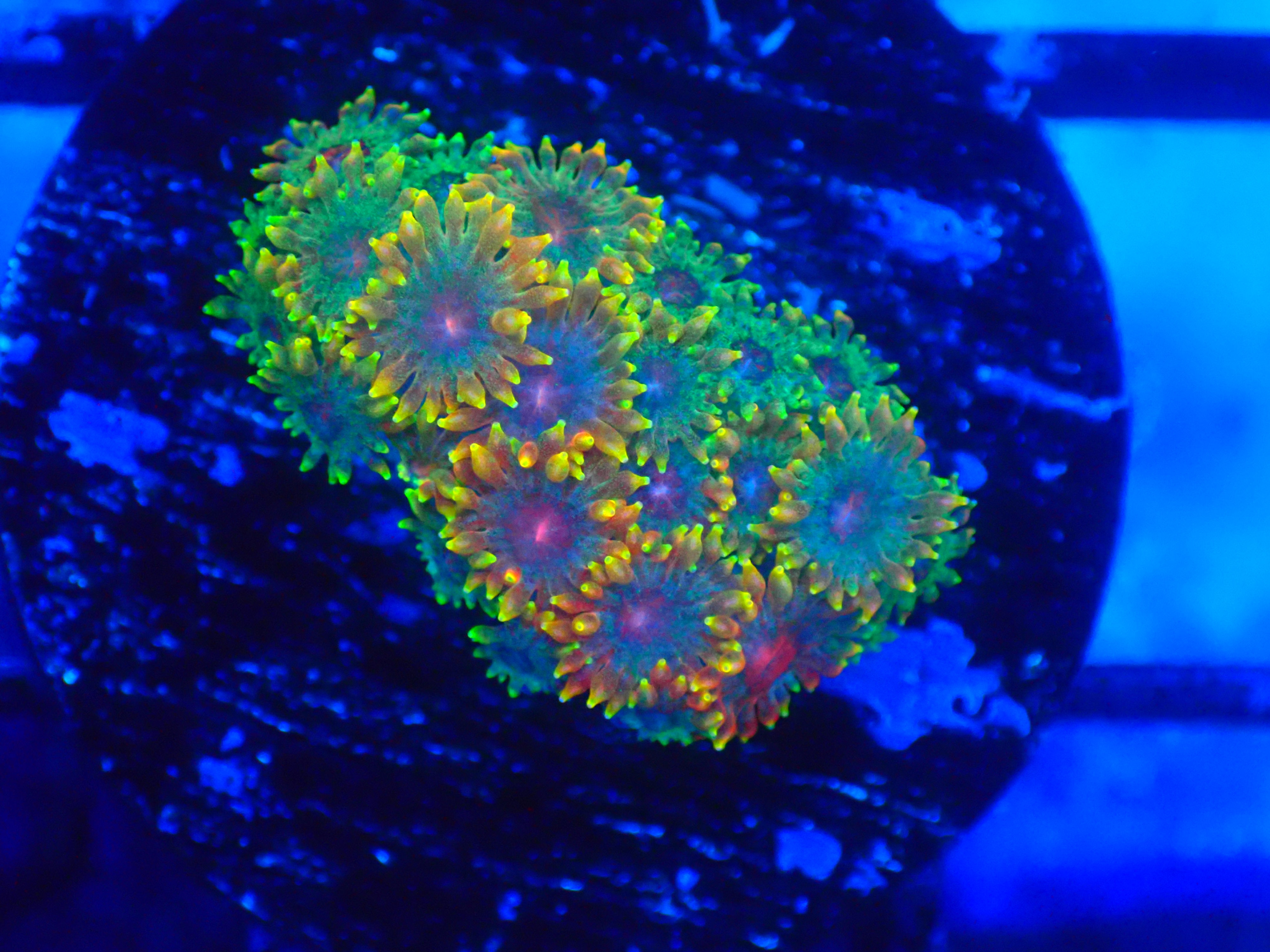 PRIVATE SALE JAY 10-22-25