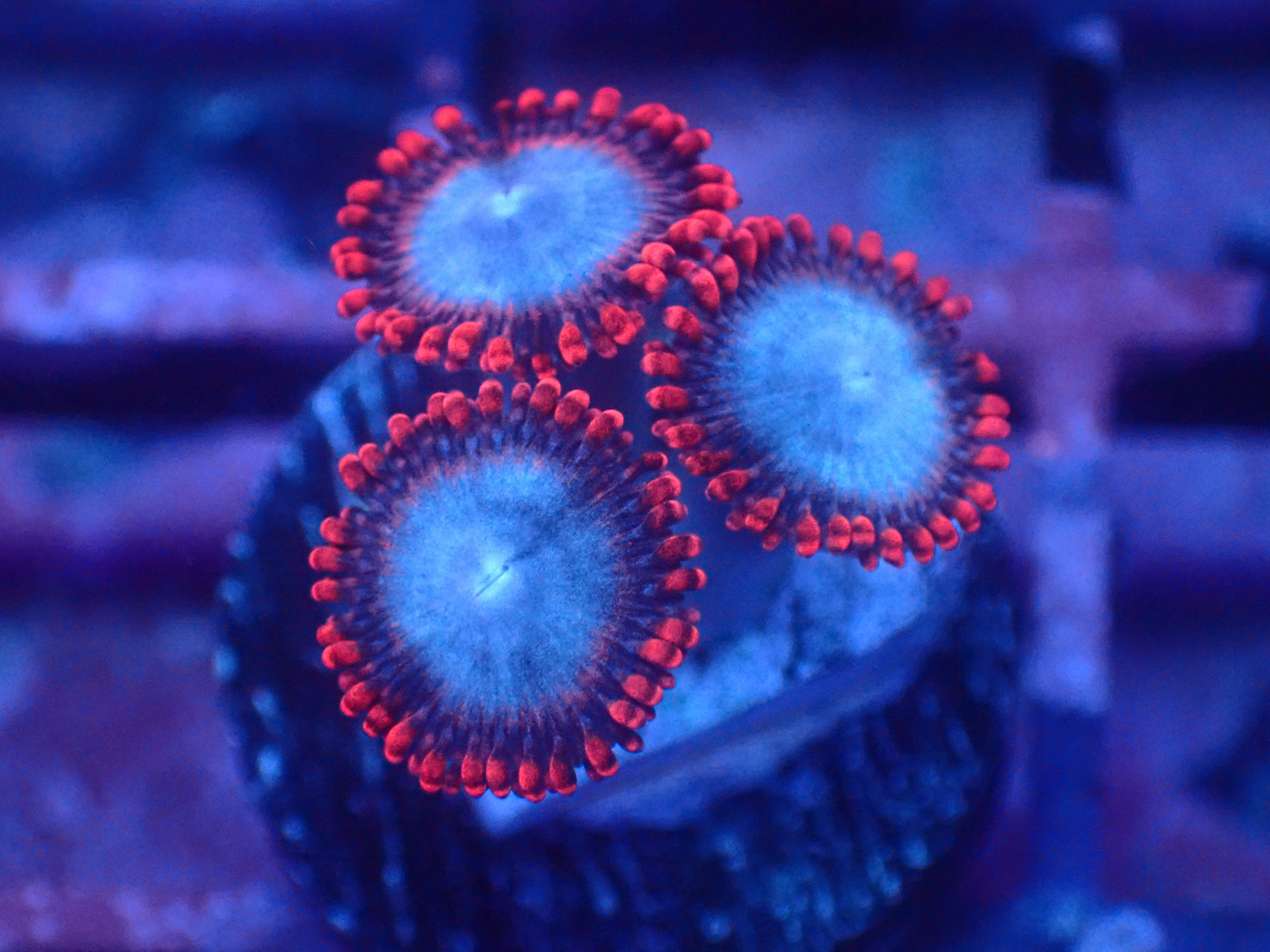 PRIVATE SALE TIAN 10-31-25