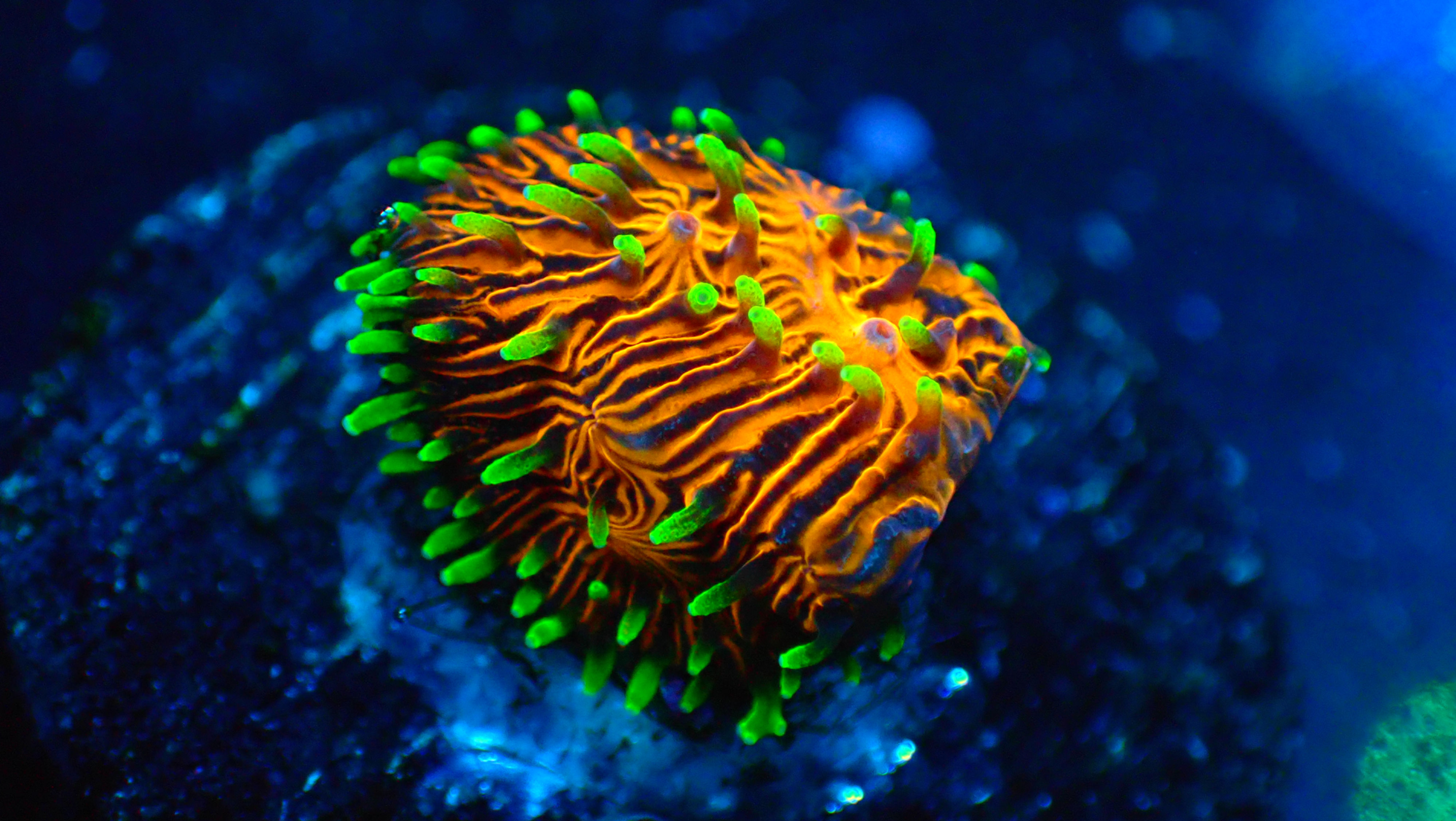 PRIVATE SALE LUIS L 2-28-26