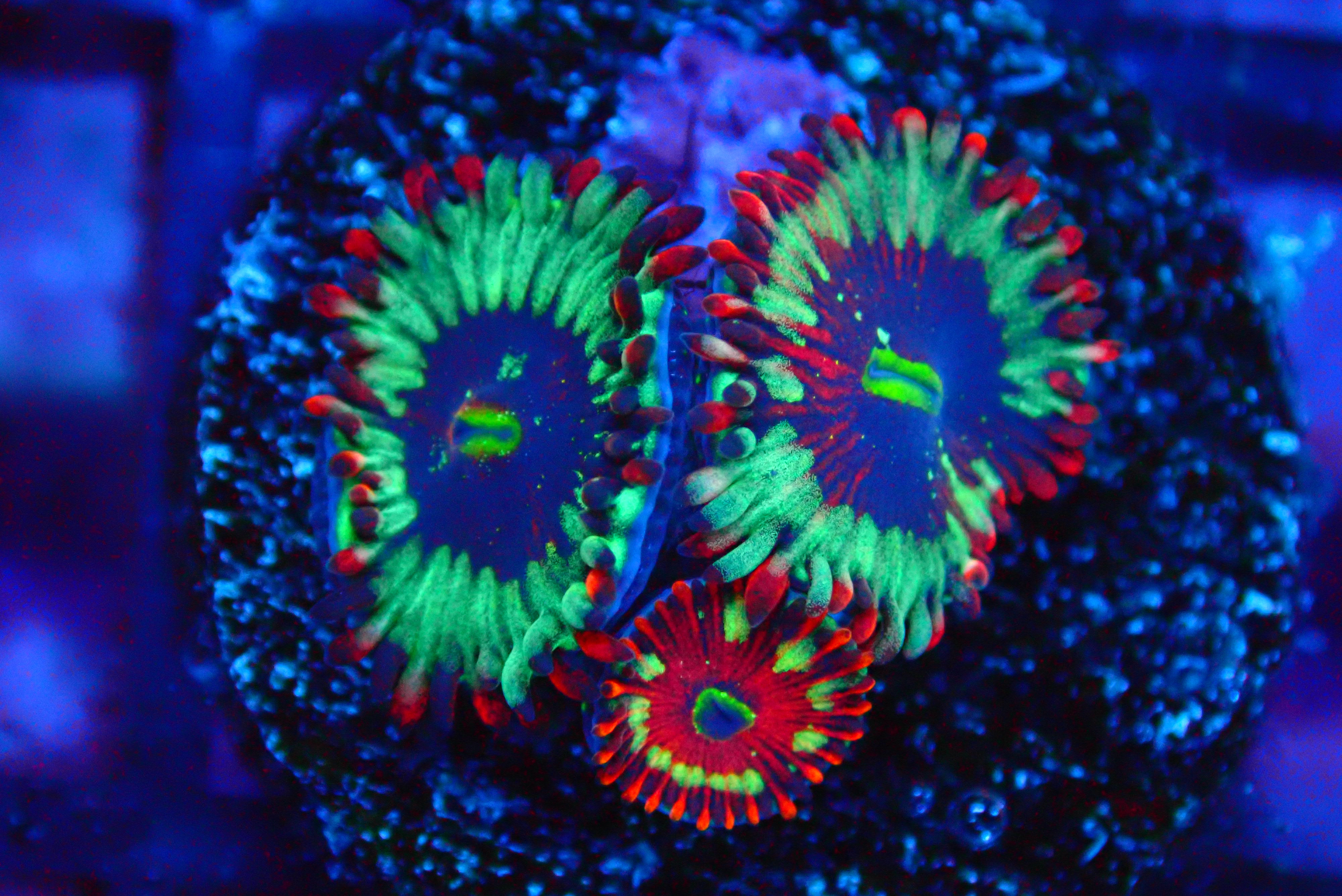 PRIVATE SALE GLENN S 8-2-25