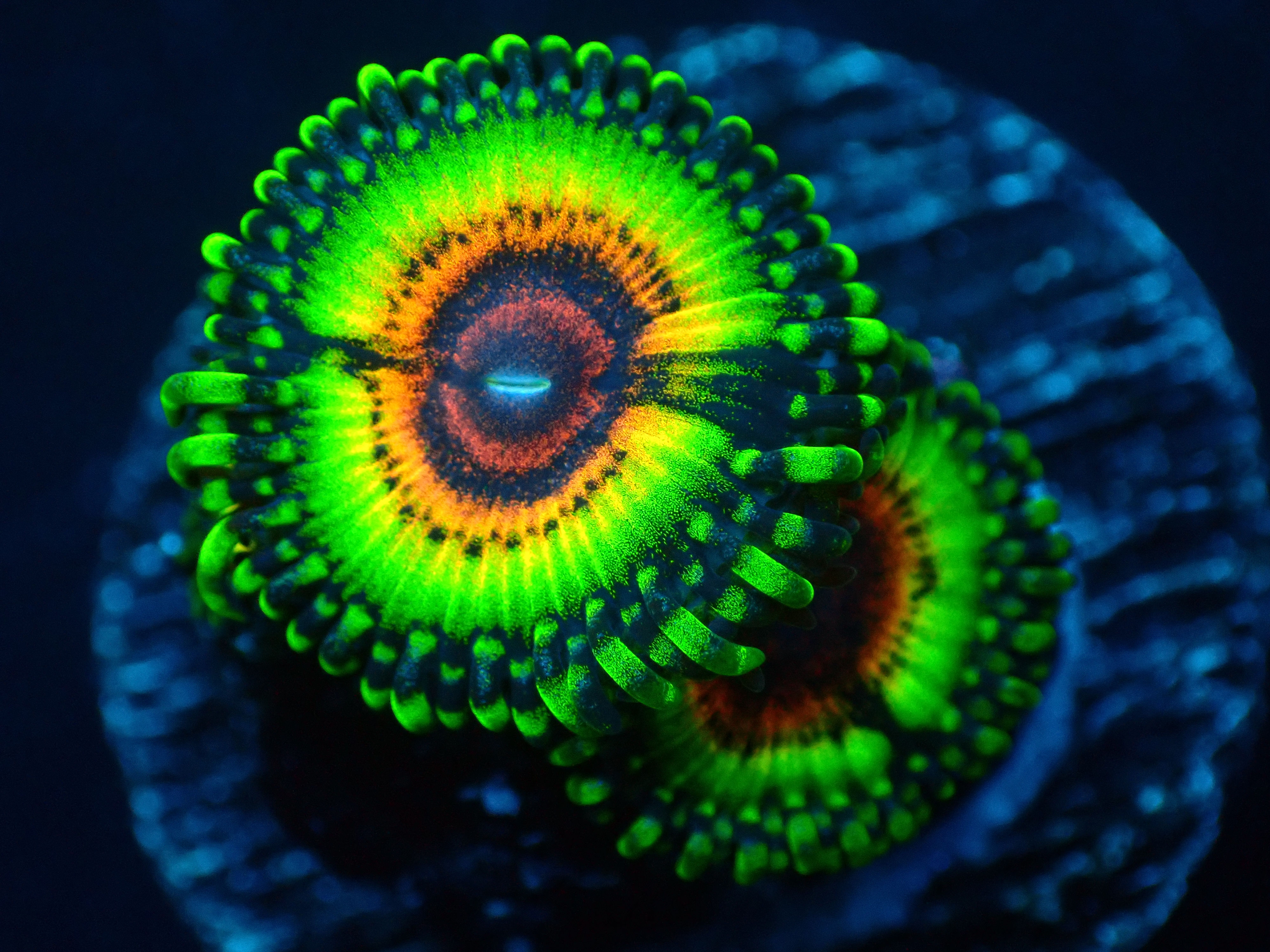 PRIVATE SALE GARRICK GAVE JENNIFER 9-27-25