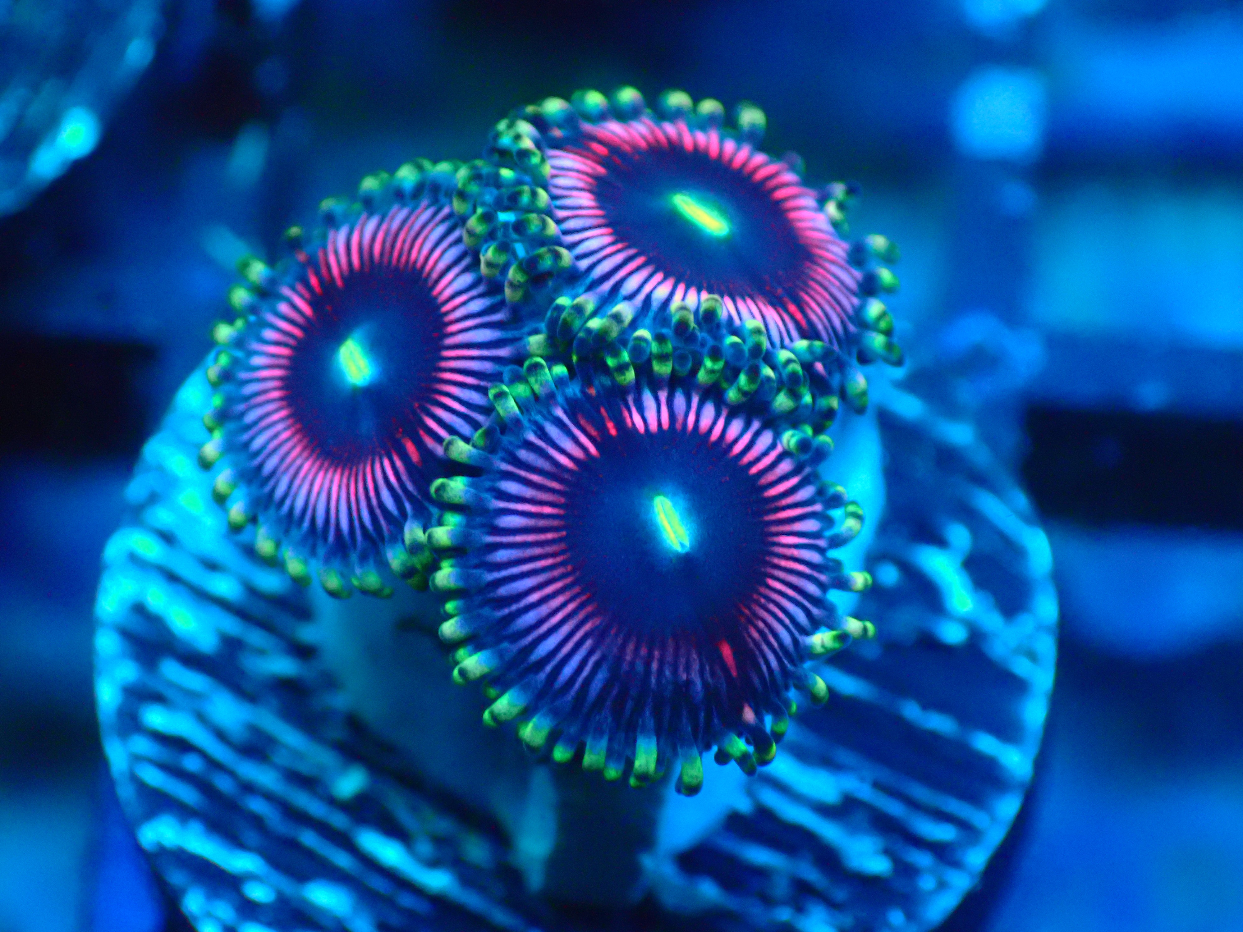 PRIVATE SALE NATHAN S 9-5-25