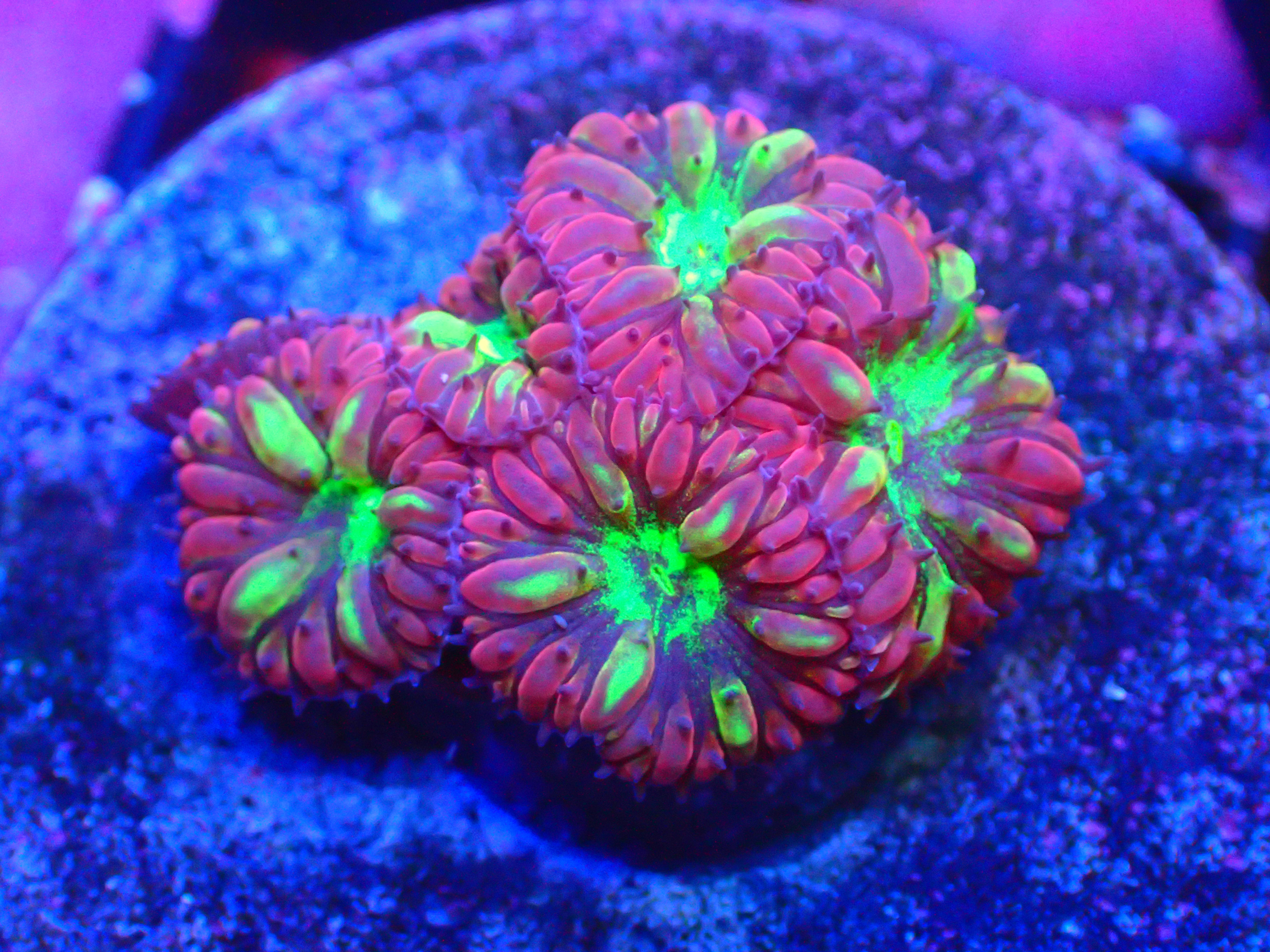 PRIVATE SALE STEVEN D