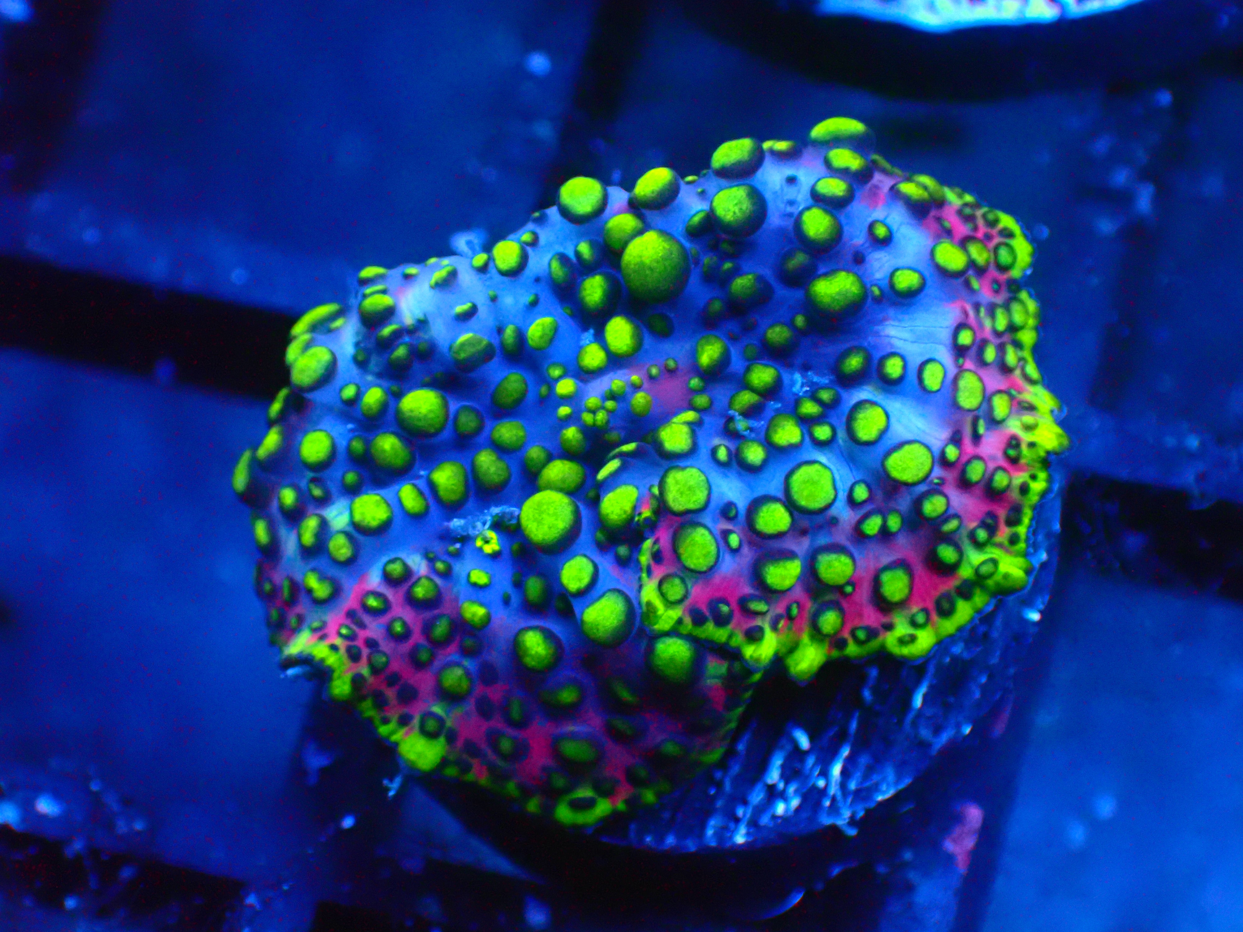 PRIVATE SALE BRIAN HUL 12-7-25