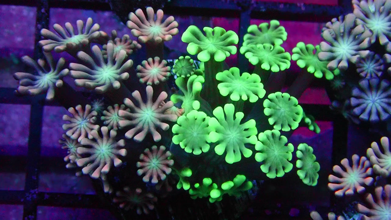 PRIVATE SALE BILL B 7-31-25