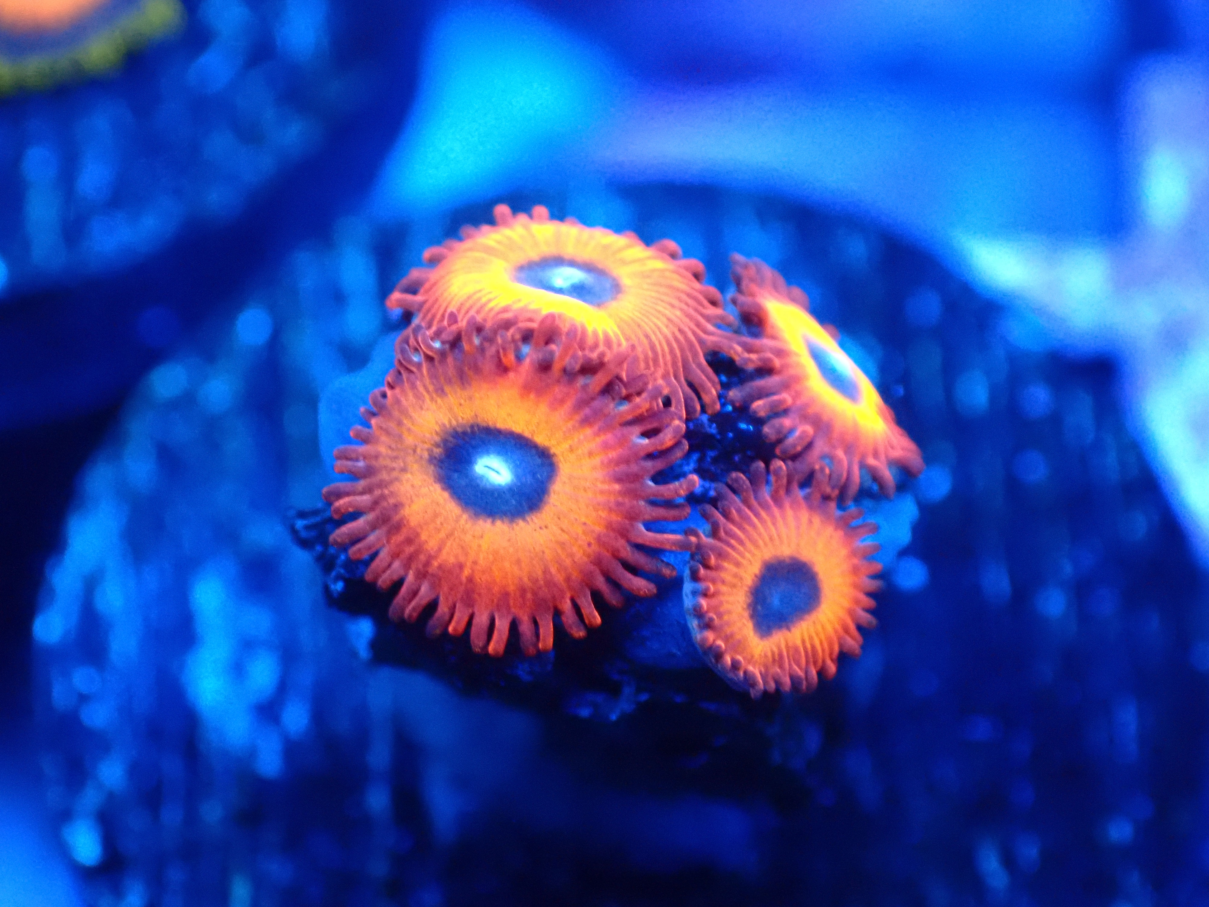 PRIVATE SALE NATHAN S 9-22-25