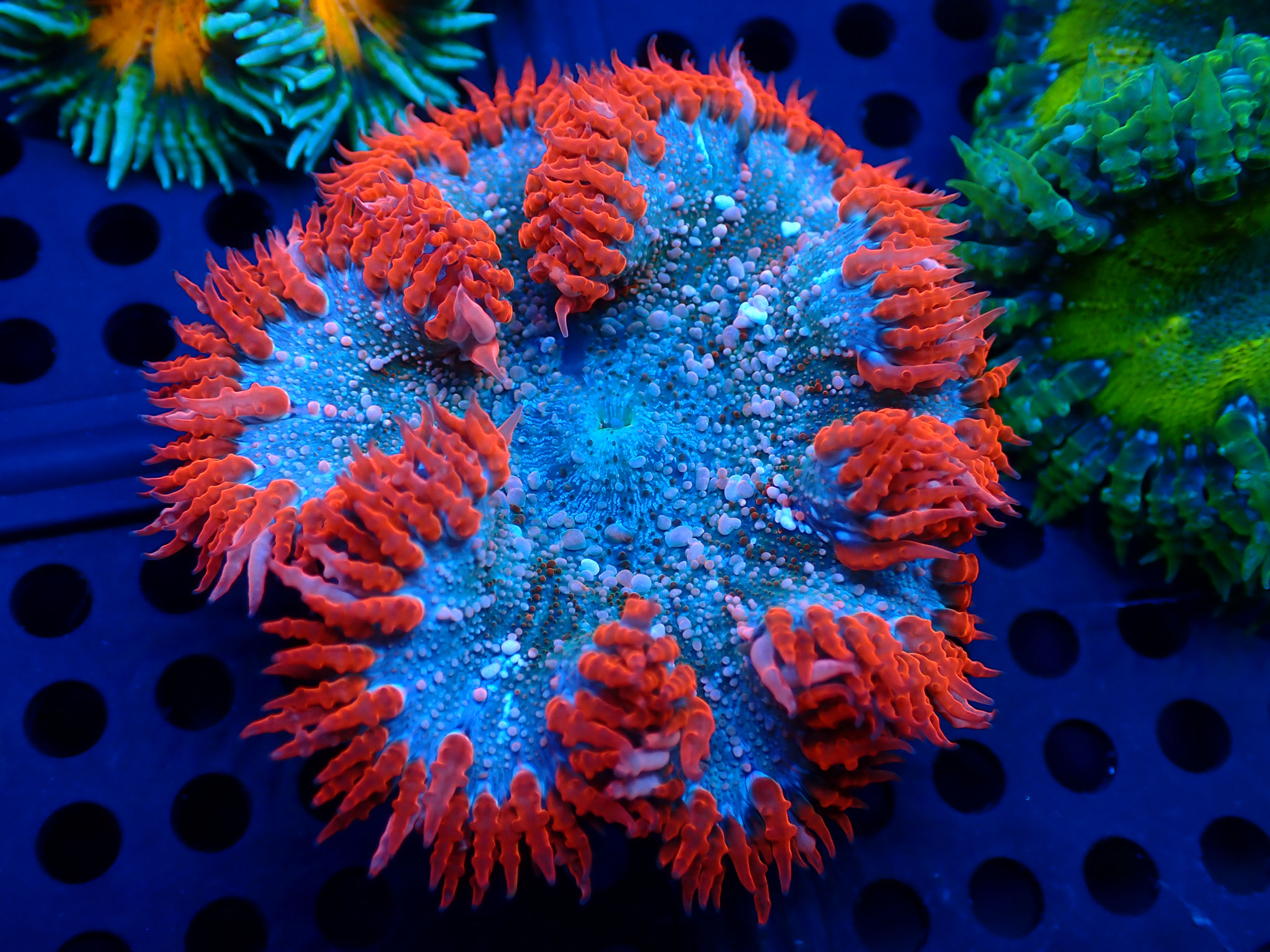 PRIVATE SALE RYAN N 10-16-25